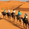 CAMEL-TREKKING-MOROCCO