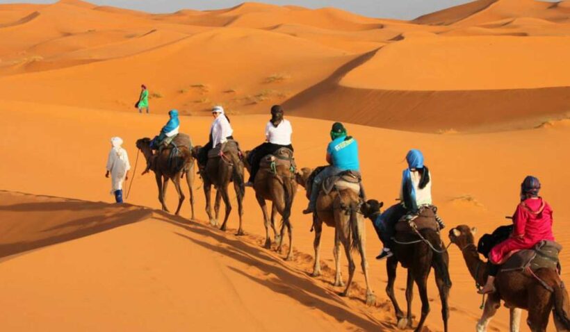 CAMEL-TREKKING-MOROCCO