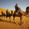 camel-morocco-trek-maroc