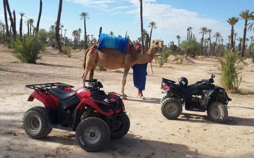 combine-quad-dromadaire-marrakech