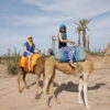 marrakech-camel-ride-in-marrakesh-422130